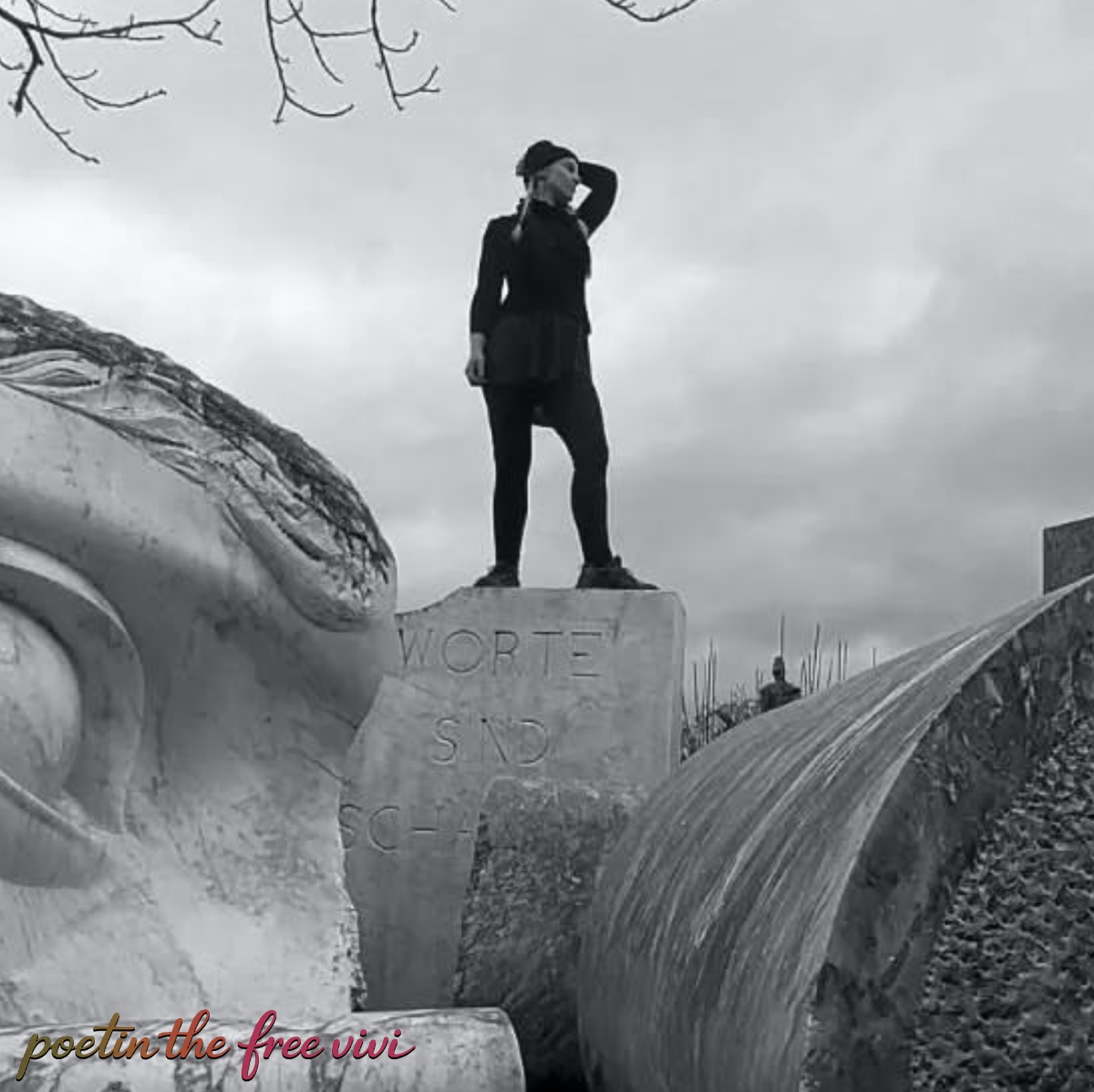 the free vivi, poetin, zwischen welten